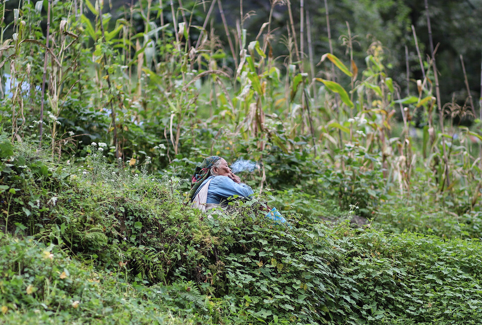 Shivayan Trails gallery photo 1