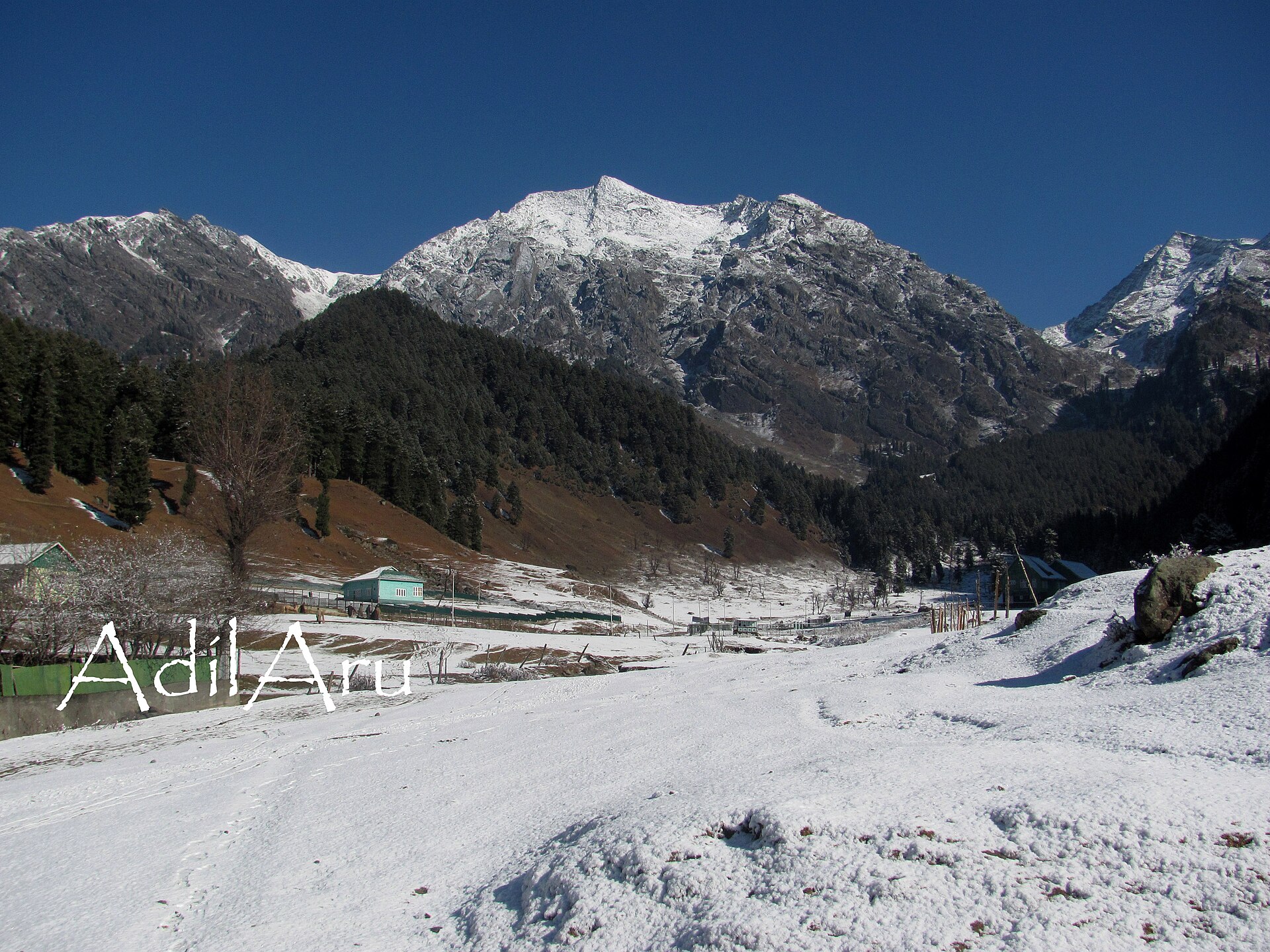 Shivayan Trails gallery photo 16