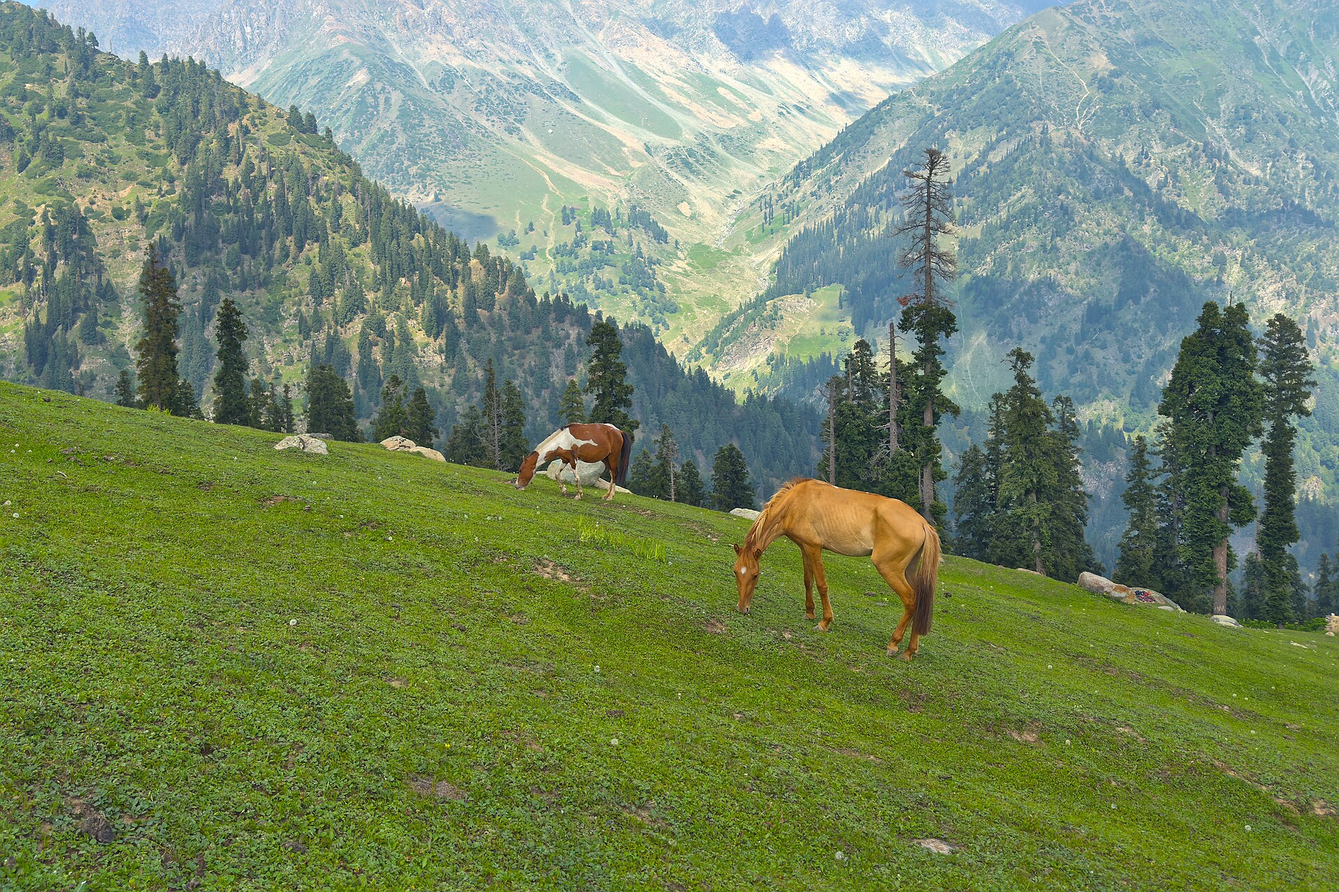 Jammu & Kashmir Trip