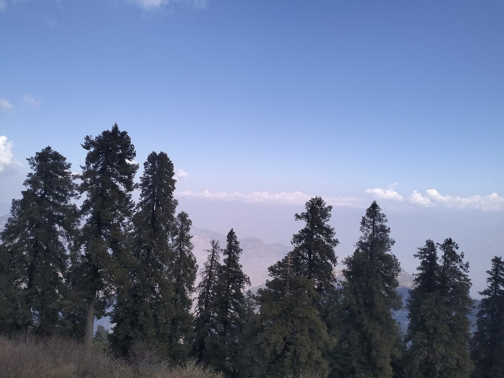 Mussoorie Getaway