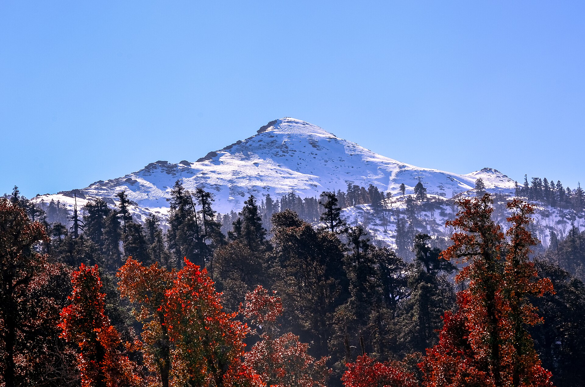 Kedarkantha Trek