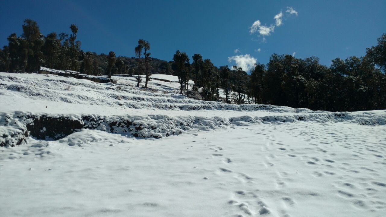 Nag Tibba Trek