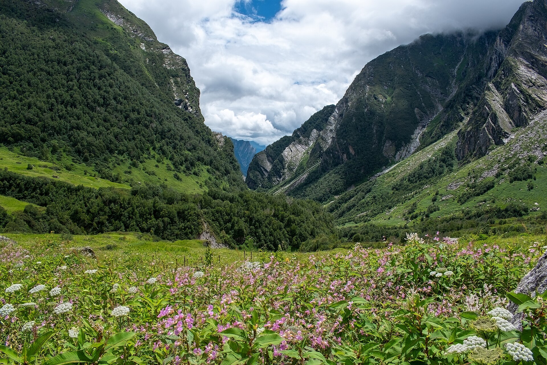 Valley of Flowers Trek